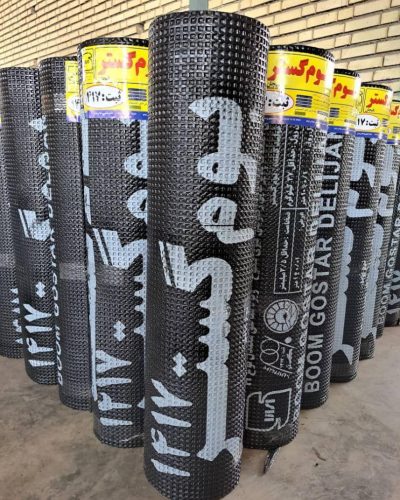 WhatsApp Image 2023-12-08 at 19.47.47